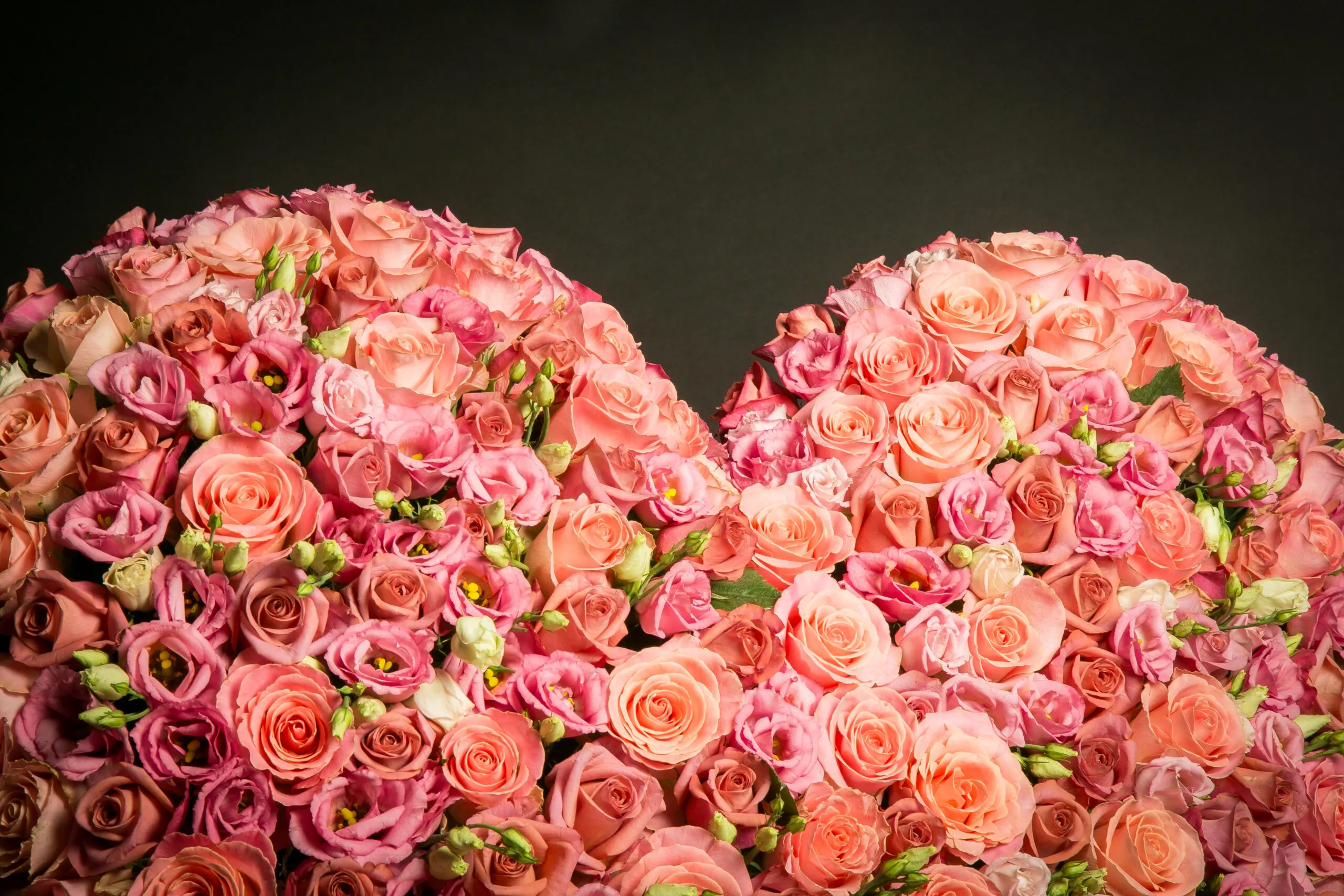 Hart Staand Groot - Afbeelding 2