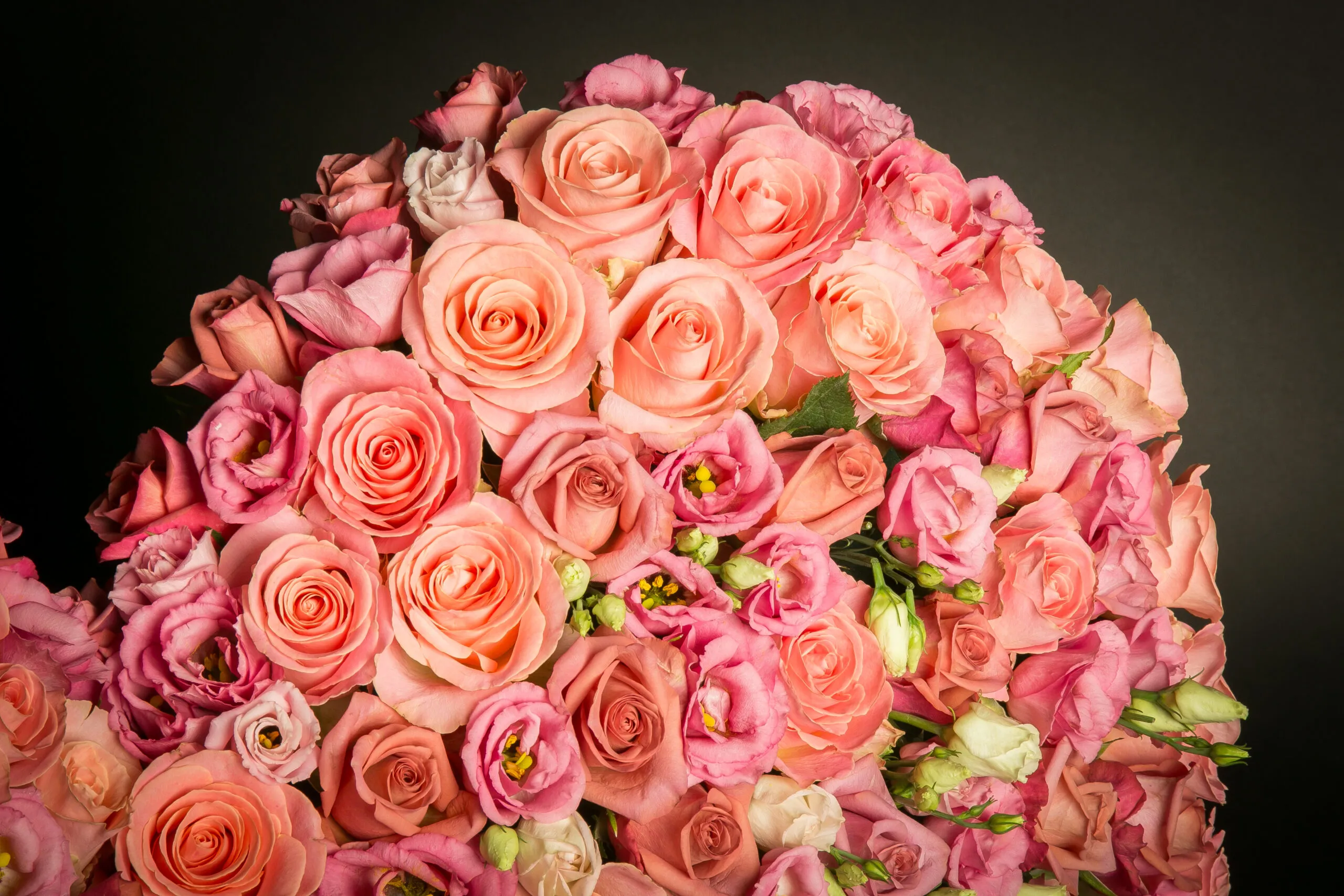 Hart Staand Groot - Afbeelding 3