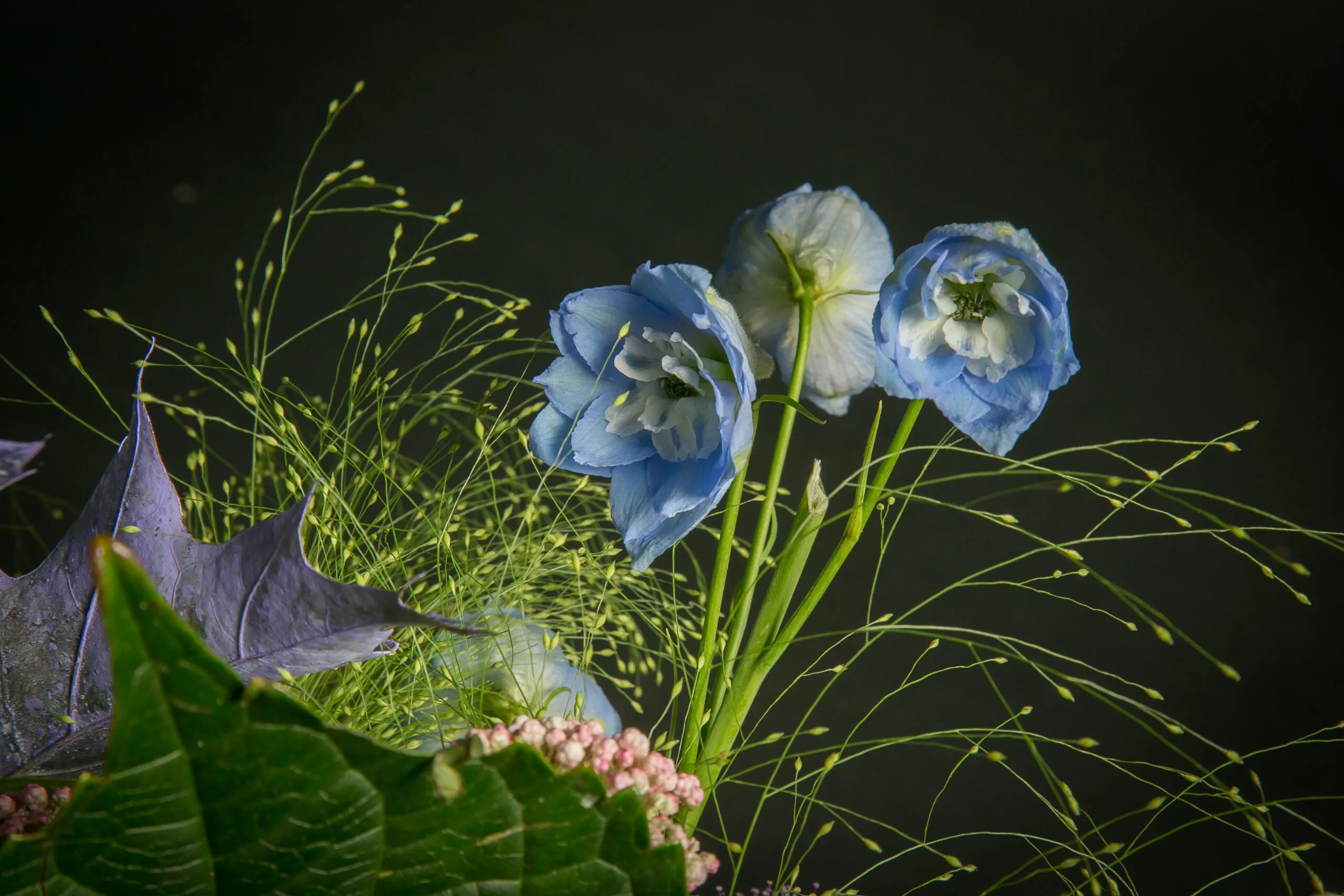 Rustiek - Afbeelding 4