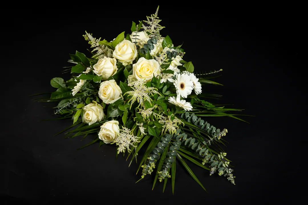 White Succes - Afbeelding 2