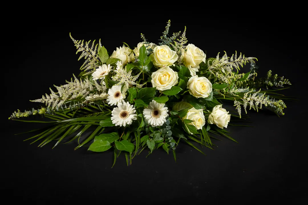 White Succes - Afbeelding 3