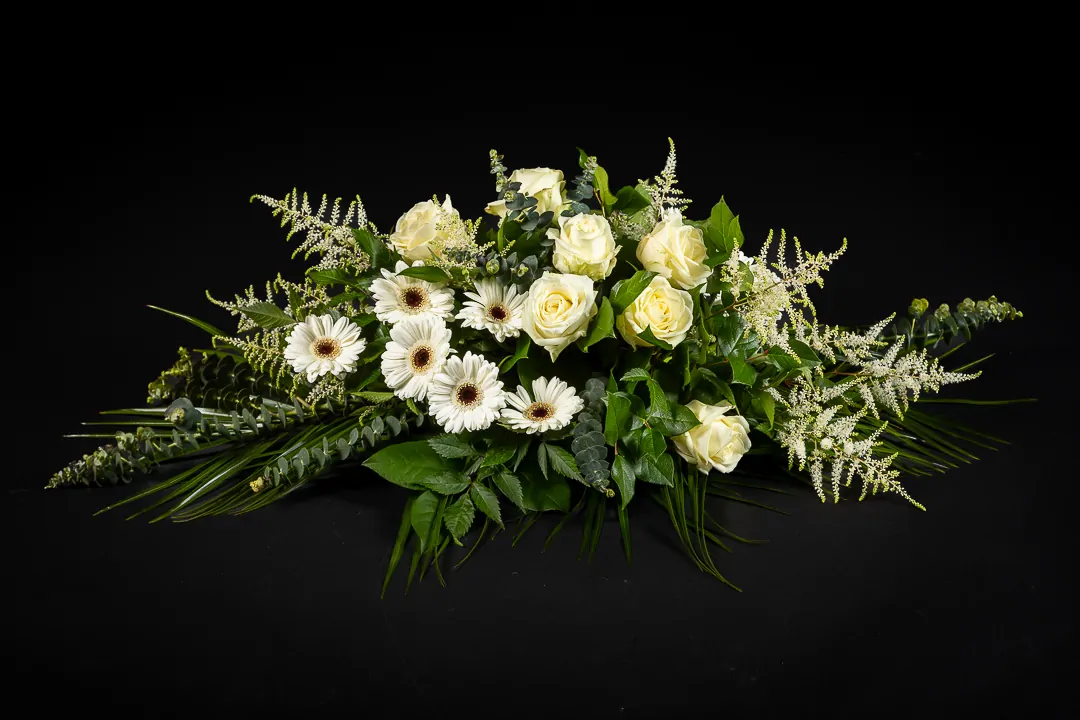 White Succes - Afbeelding 4