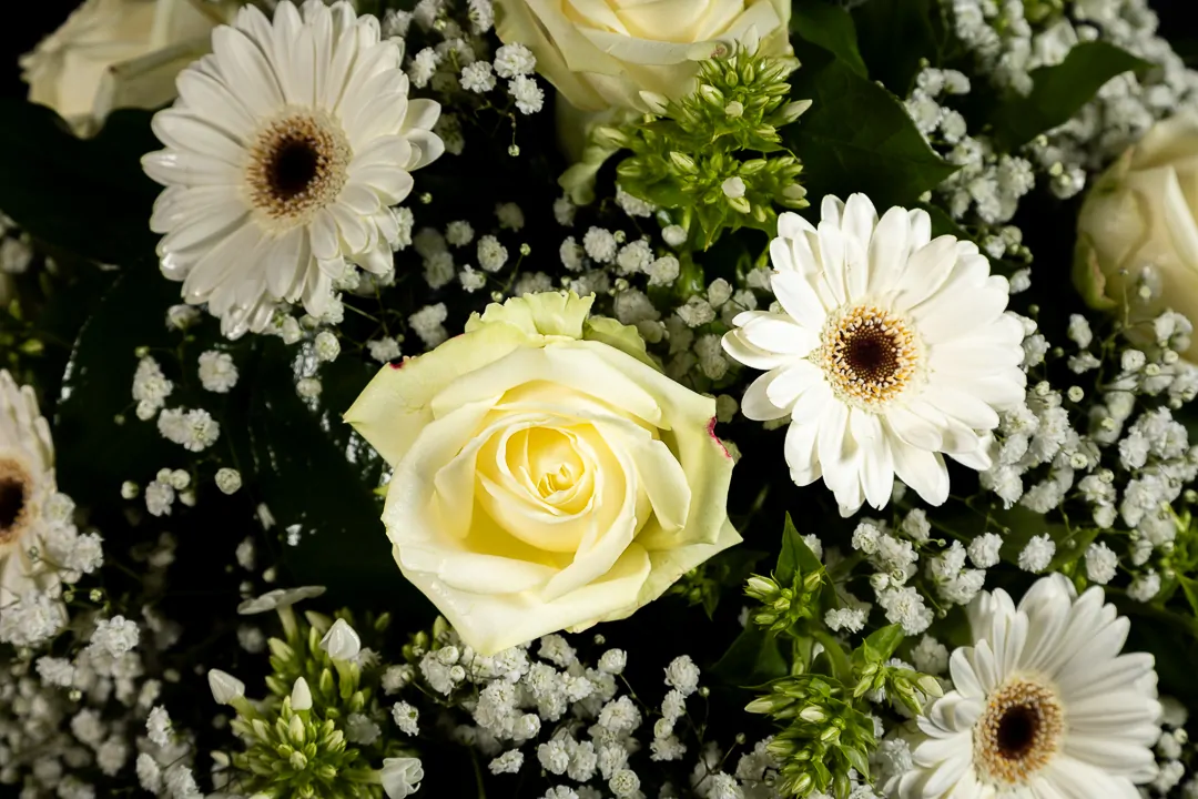 White Spring - Afbeelding 4