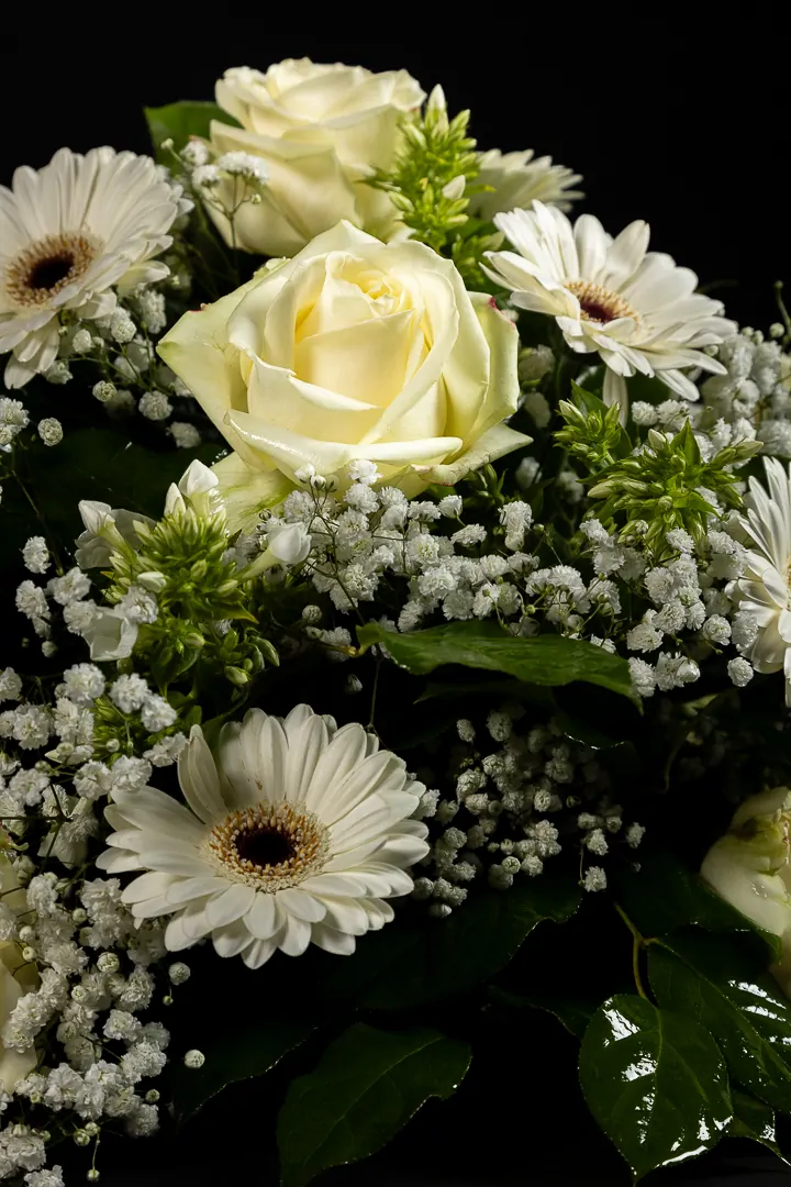 White Spring - Afbeelding 5